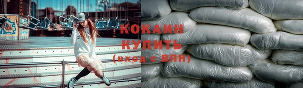 ПСИЛОЦИБИНОВЫЕ ГРИБЫ Костерёво
