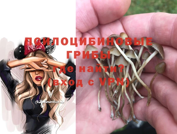 герыч Корсаков